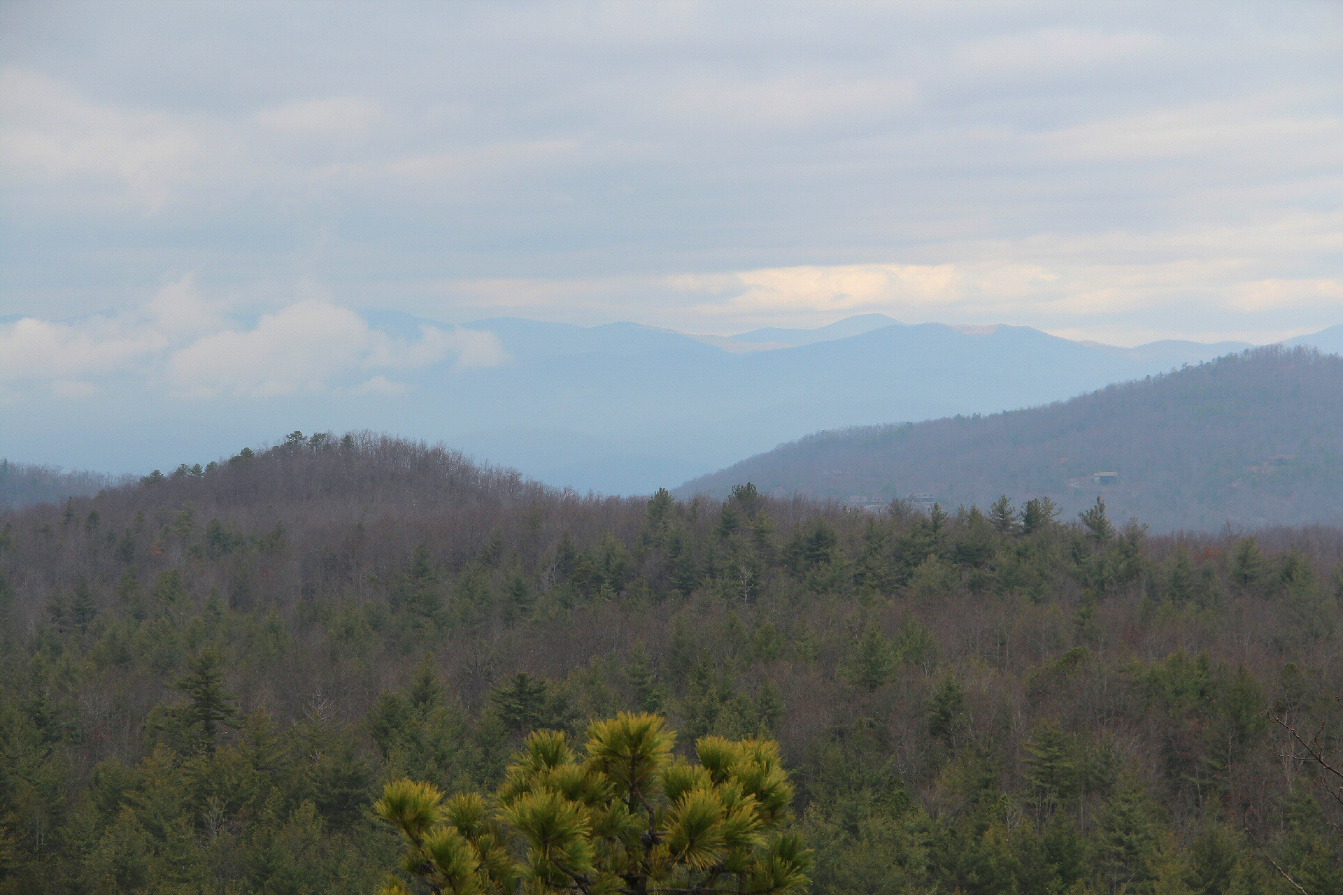 meanderthals-corn-mill-shoals-trail-little-river-trail-cedar-rock
