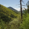 K ) Hawksbill Mountain from Babel Tower