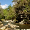 D ) Linville River Upstream North