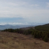 K ) Black Balsam Forest