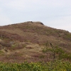 H ) Raven Below Tennent Mountain Summit