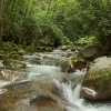 K ) Mouse Creek Falls Is to the Left - I Lost My Pruning Saw Here