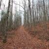C ) Approaching Turkey Knob - A Gradual Incline