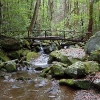 A ) The Low Gap Trail Follows Cosby Creek for the First Half Mile