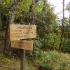 G ) The Appalachian Trail Meets the Mt. Cammerer Spur Trail