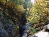D ) Cedar Run Passes Through a Small Gorge