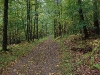 L ) Fire Road and Horse Trail