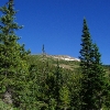 B ) Approaching the Treeline