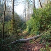 G ) A Lower Section of the Chattooga River Trail