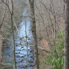 B ) North Mills River from Forest Service Road