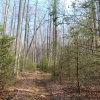 I ) Upper Spencer Branch Trail