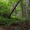 F ) Conley Cove - Gorge Hikers Use the Many Primitive Campsites