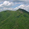 L ) Hawksbill Mountain From Wiseman's View