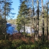 D ) Bridal Veil Falls from Observation Platform