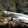 I ) Pondering at Grassy Creek Falls