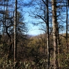 L ) Winter Hiking Offers Hilltop Views