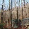 C ) The Boulder Field Along Falls Creek Trail