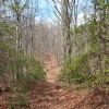 J ) The Cleveland Connector Junction on Hospital Rock Trail
