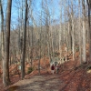 B ) A Nice Stroll Through the Woods on Falls Creek Trail
