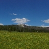 I ) Grassy Mountain Meadow on the South Side of the Pass