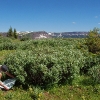 H ) It Was Windy Up on the Pass - Checking the Topo Map