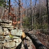 E ) Remnants of an Old Cabin Foundation