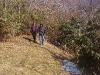 K ) Bushwhacking through an Old Trail