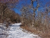 G ) Snow Covered Forest Road to Fryingpan Mountain