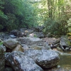 B ) Greasy Cove Prong Crossing
