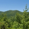 I ) Tennent Mountain From the Mountains to the Sea Trail Along Graveyard Ridge