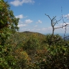 M ) A Gap In the Trees Along the West Ridge Trail 