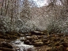 I ) Middle Prong of the Little Pigeon River