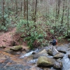 J ) Hopping Across Coldspring Branch