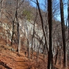 O ) Rainbow Falls Trail with Cleveland Cliffs