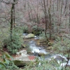 H ) A Common Scene Along the Saluda River
