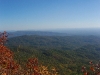C ) Looking East from Narrow Ridge