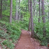 B ) A Contracted Crew Widened the Looking Glass Trail in 2011
