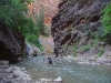 D ) Some River Crossings Are Treacherous