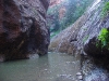 A ) The Deep Wade Ahead