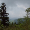 F ) Lone Balsam Watches Over the Blue Ridge Mountains