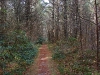 D ) Mac's Gap Trail