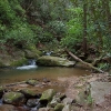 D ) Pulliam Creek Crossing