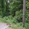 A ) Pulliam Creek Trailhead Parking - Green Ribbon
