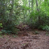 L ) Near the Connection to the Pulliam Creek Trail