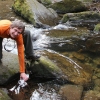 B ) Dipping the Purificup in Matthews Creek, Mountain Bridge Wilderness