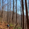 F ) A View of Caesars Head Along Dismal Trail
