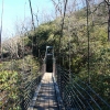 L ) Suspension Bridge Across Raven Cliff Falls
