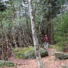 J ) Thicket of Gnarly Old Growth Rhododendron