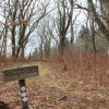 G ) Junction With the Haywood Gap Trail