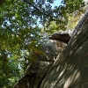 B ) After Bushwhacking Through the Forest - The Base of Rumbling Bald